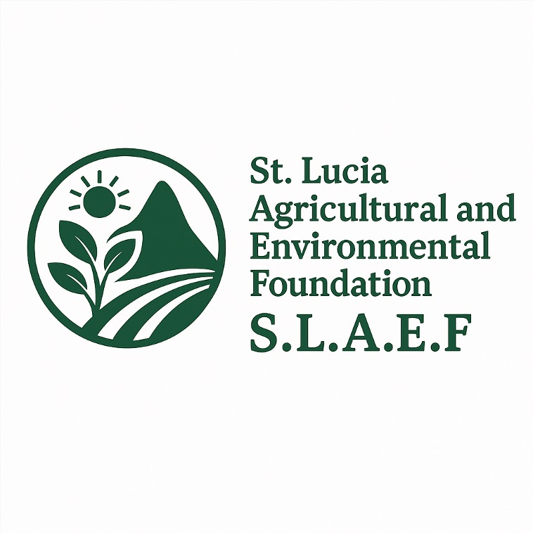 SLAEF